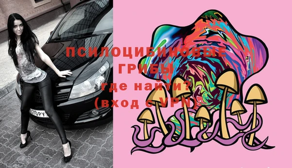 ешки Белокуриха