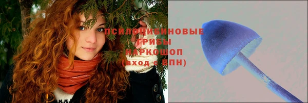 ГАЛЛЮЦИНОГЕННЫЕ ГРИБЫ Баксан