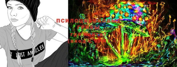 ГАЛЛЮЦИНОГЕННЫЕ ГРИБЫ Баксан
