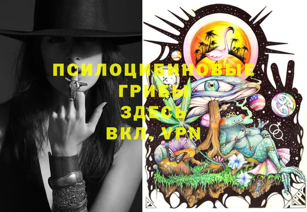 ешки Белокуриха