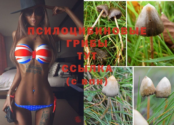 spice Беломорск