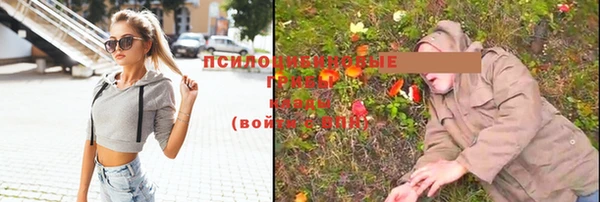 spice Беломорск